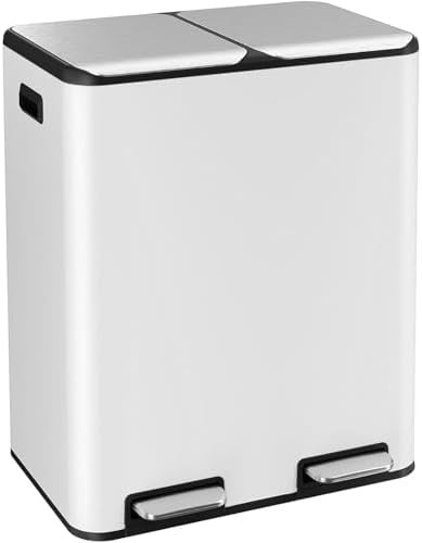 Dual trash can with odor control box